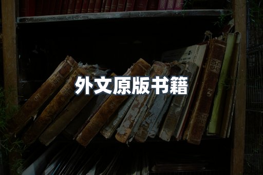 外文原版书籍